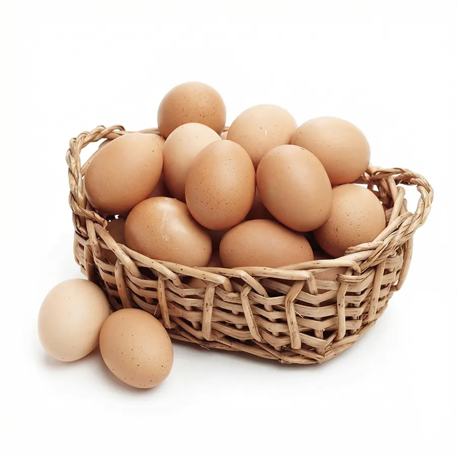 Gezen Tavuk Yumurtası